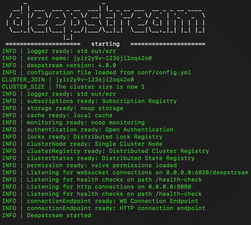 Starting deepstream via node