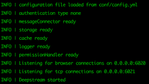deepstream starts with no authentication